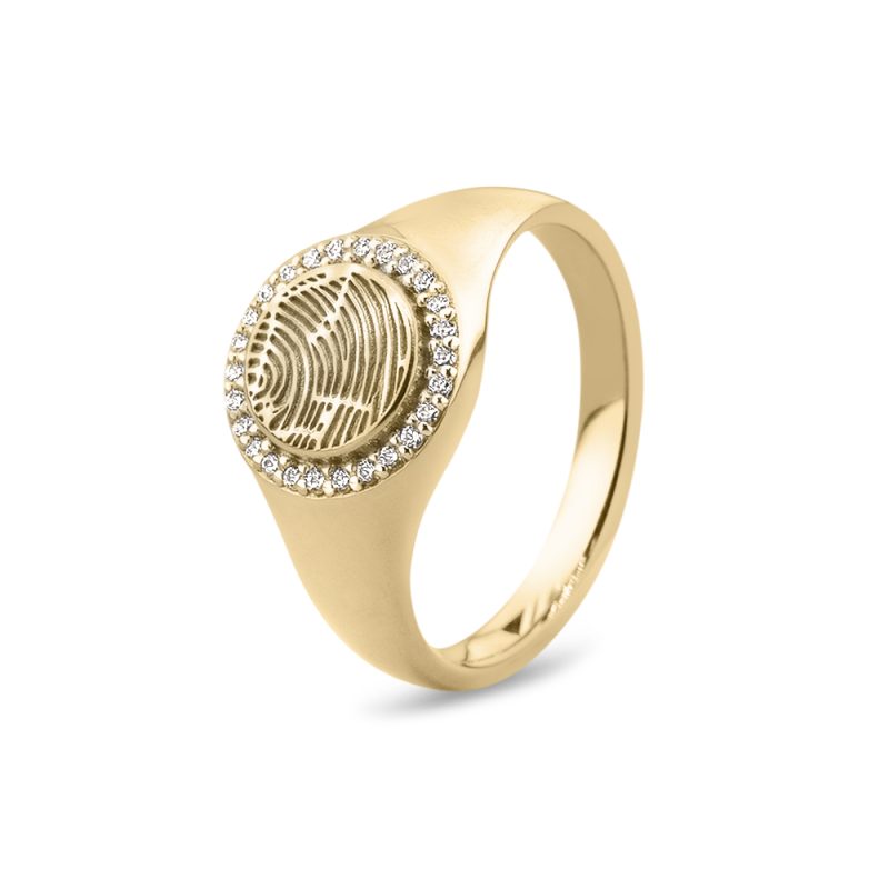 Small Round Signet & Ash Ring