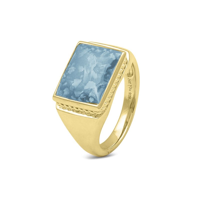 Twisted Rectangular Ring
